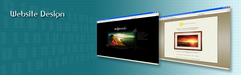 Website Design