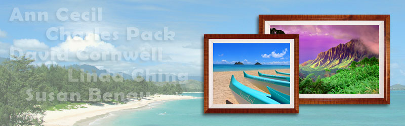 Art Photo Hawaii