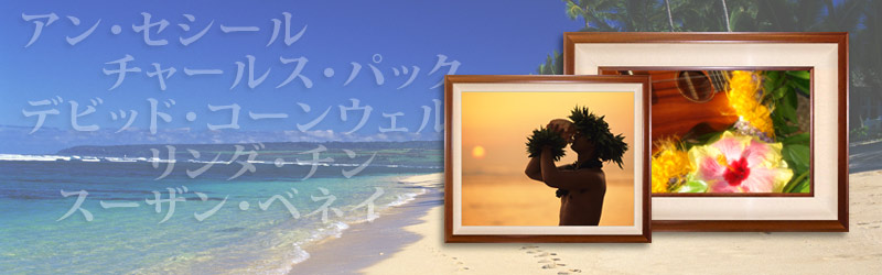 Art Photo Hawaii